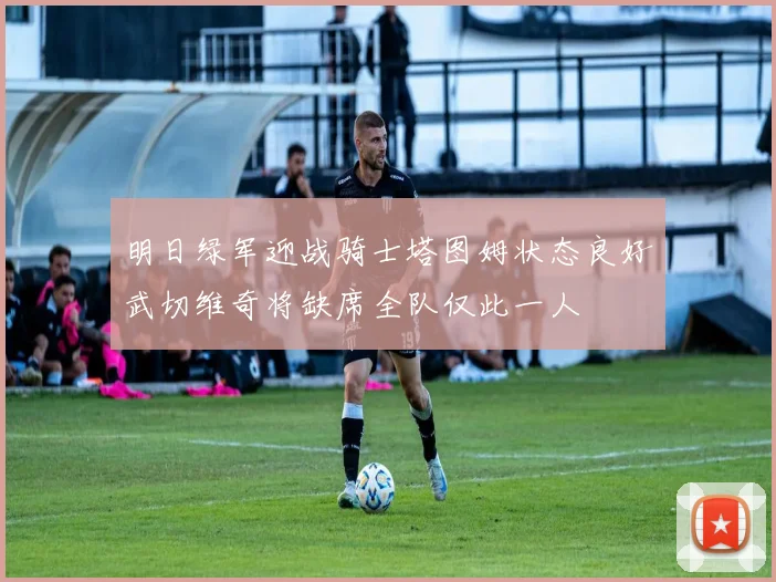 明日绿军迎战骑士塔图姆状态良好武切维奇将缺席全队仅此一人