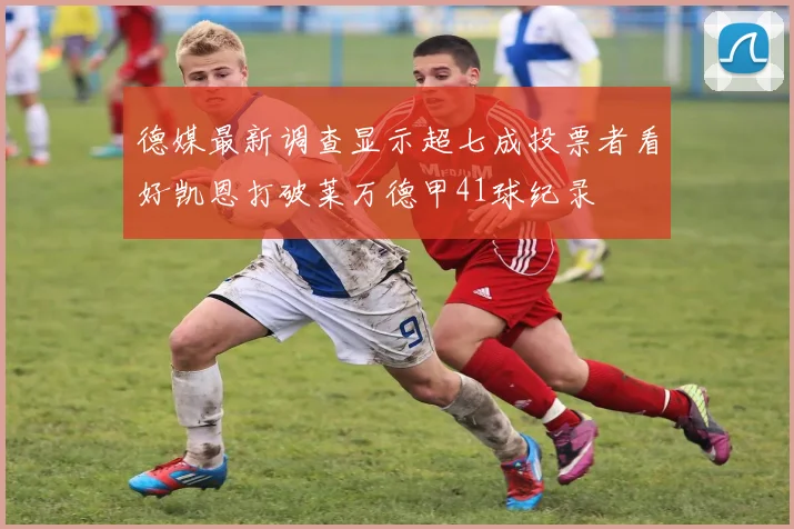 德媒最新调查显示超七成投票者看好凯恩打破莱万德甲41球纪录