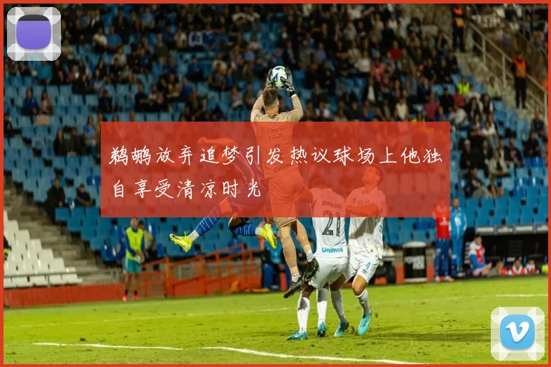 鹈鹕放弃追梦引发热议球场上他独自享受清凉时光