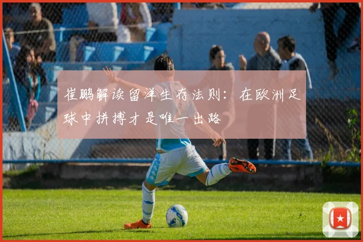 崔鹏解读留洋生存法则：在欧洲足球中拼搏才是唯一出路